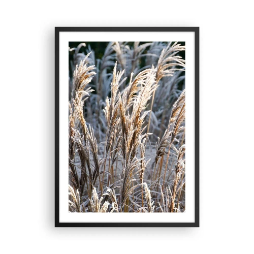 Affiche dans un cadre noir - Poster - Herbes séchées couvertes de givre dans un paysage hivernal - 50x70cm - Habillé de givre - Décoration murale moderne pour le salon et la chambre ARTTOR