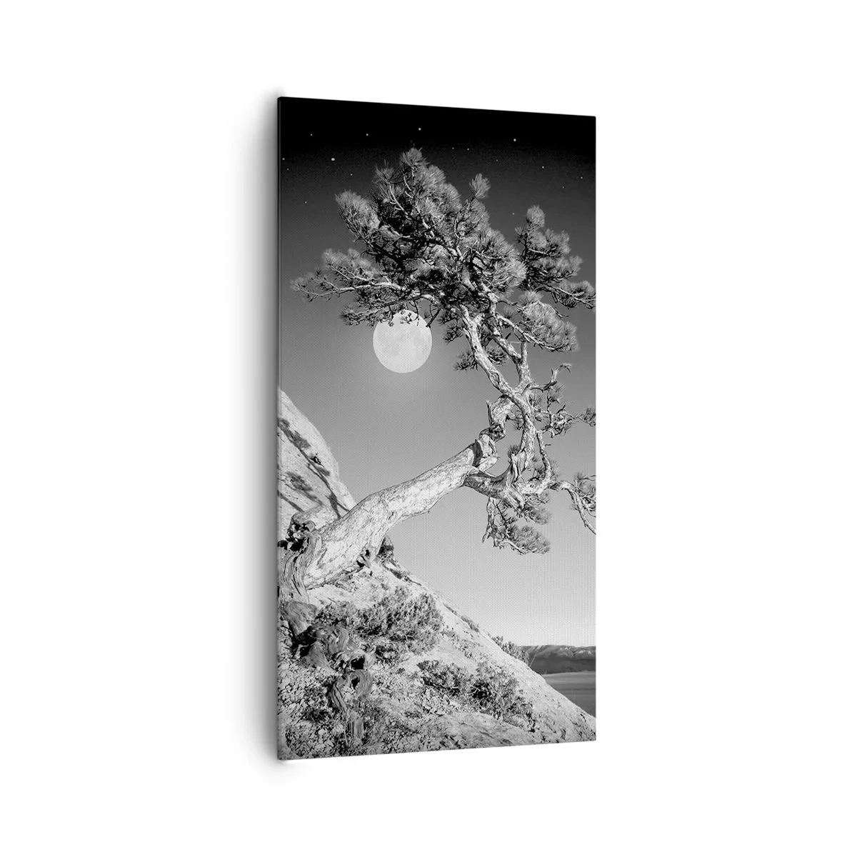 Impression sur toile - Image sur toile - Un combattant vainqueur - 65x120 cm