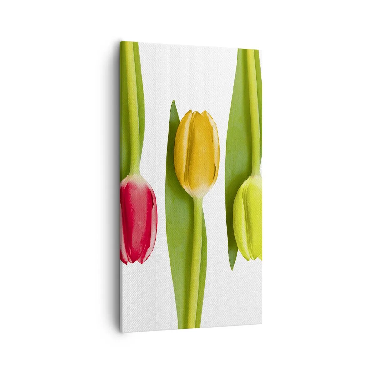 Impression sur toile - Image sur toile - Composition arc-en-ciel - 55x100 cm