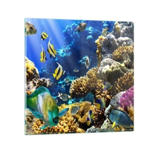 Impression sur verre - Image sur verre - Beaucoup de circulation sur la route des vacances - 30x30 cm