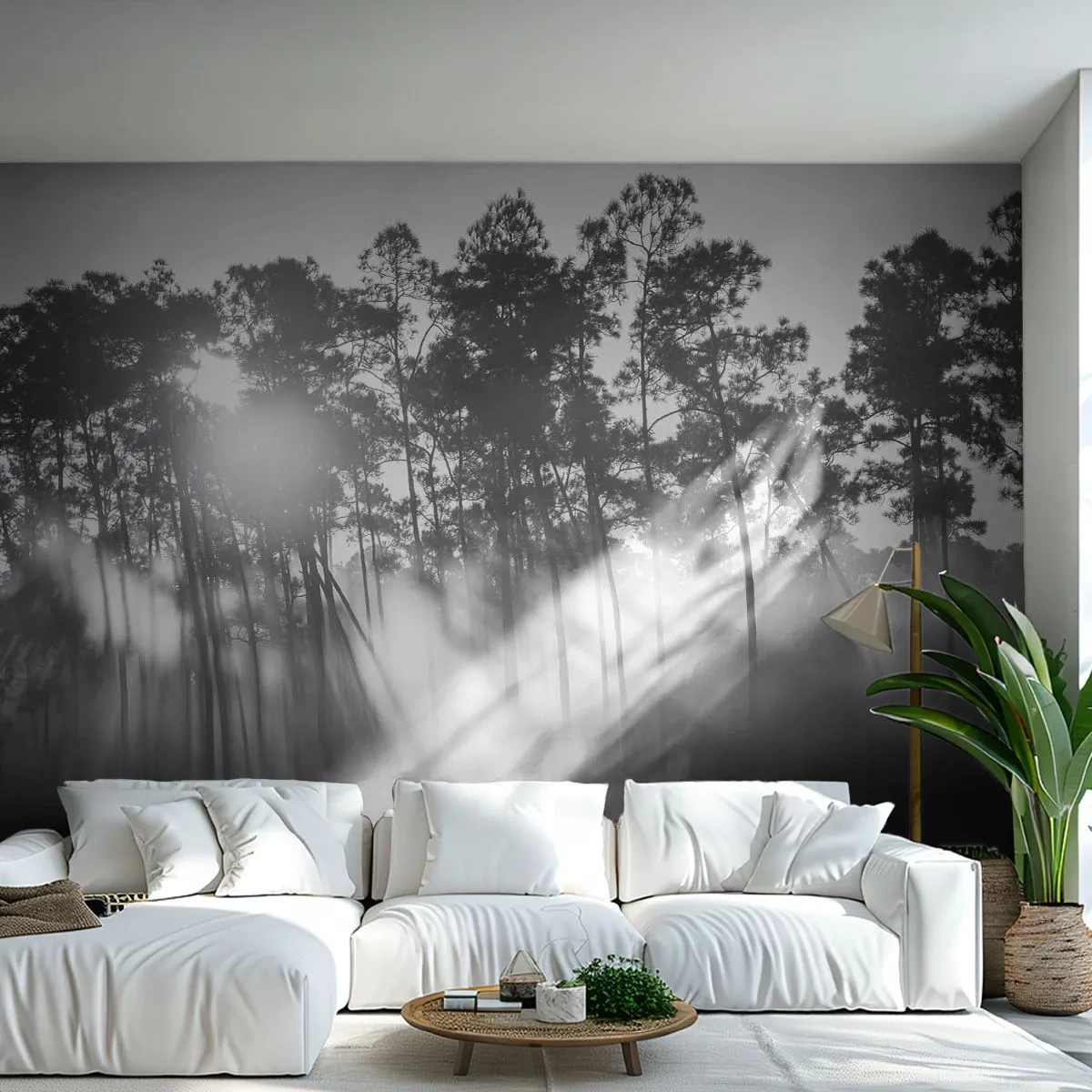 Papier Peint Photo Standard Eco - Soleil inarrêtable - Paysage, Forêt, Nature - 350x256 cm