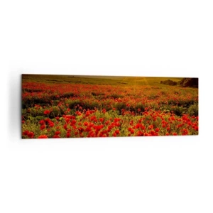 Impression sur toile - Image sur toile - Un champ de coquelicots rouges dans la lueur du soleil couchant - 160x50cm - Parmi les vagues des prairies bruissantes, parmi les fleurs du déluge - Décoration murale moderne pour le salon et la chambre ARTTOR