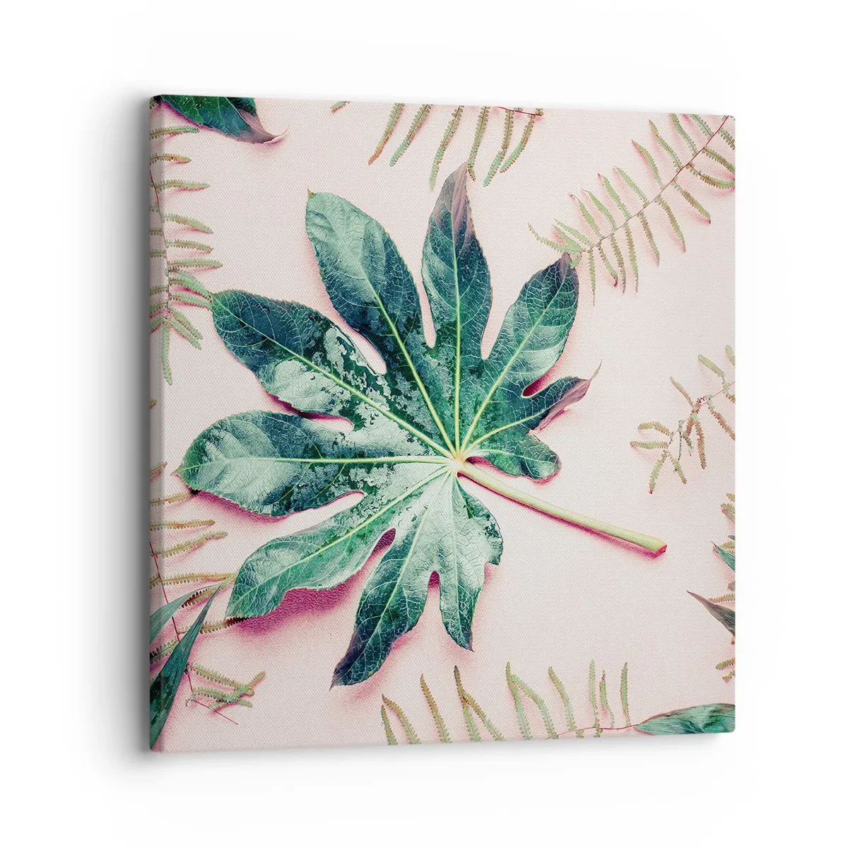 Impression sur toile - Image sur toile - Étude de verdure sur fond rose - 30x30 cm