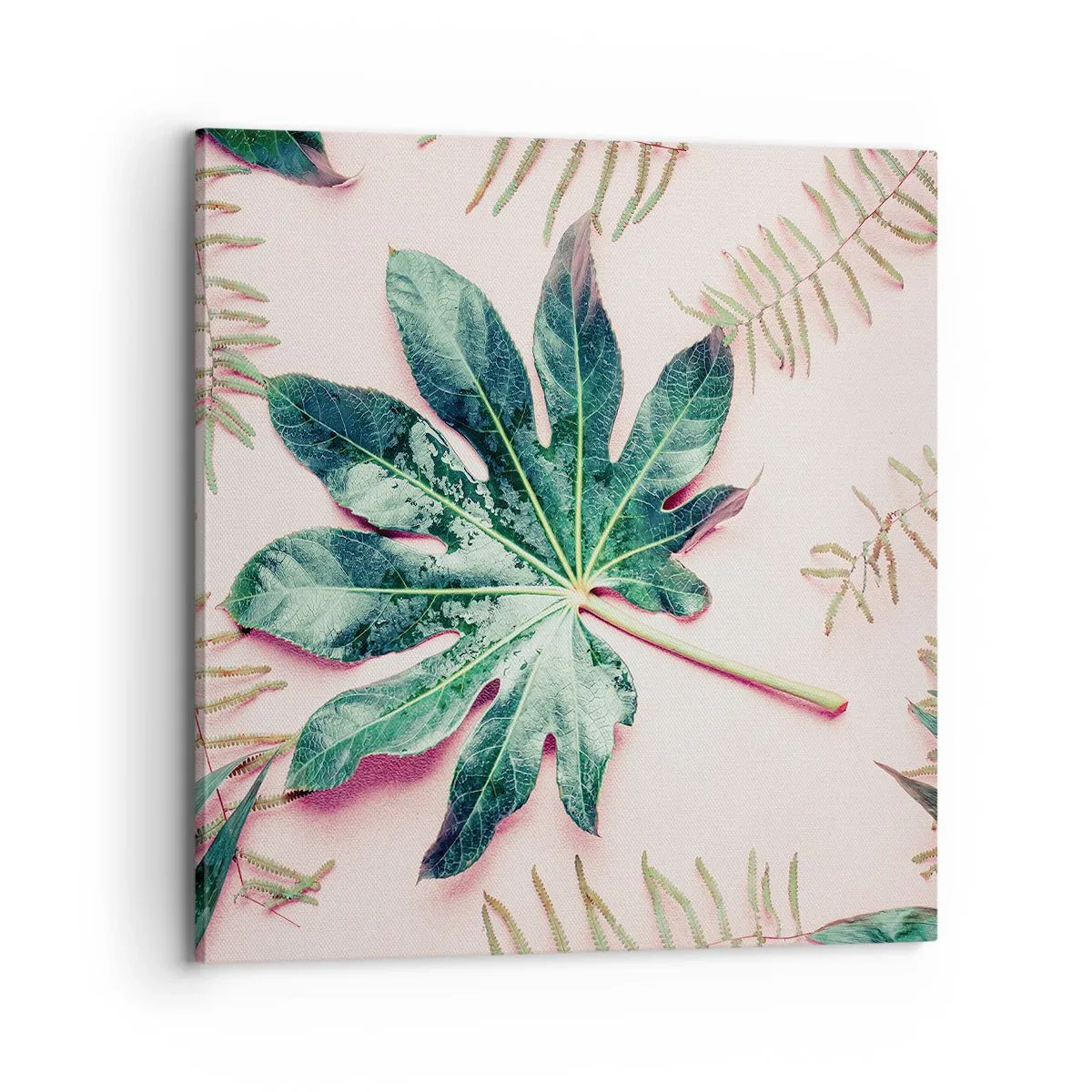 Impression sur toile - Image sur toile - Étude de verdure sur fond rose - 70x70 cm