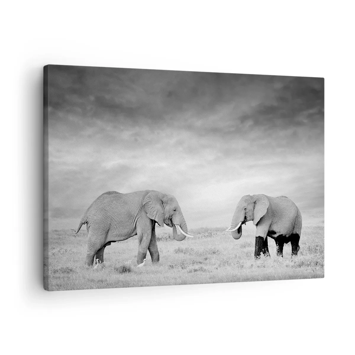 Impression sur toile - Image sur toile - Deux éléphants sur fond de savane africaine - 70x50cm - Le gris est beau - Décoration murale moderne pour le salon et la chambre ARTTOR