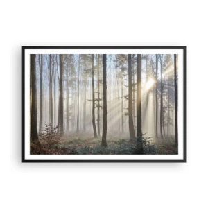 Affiche dans un cadre noir - Poster - Une forêt dans un léger brouillard avec des rayons de soleil qui brillent à travers les arbres - 100x70cm - Le brouillard s'est aussi réveillé - Décoration murale moderne pour le salon et la chambre ARTTOR