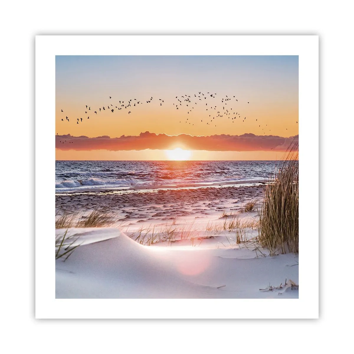 Affiche - Poster - Paysage horizontal - 50x50 cm