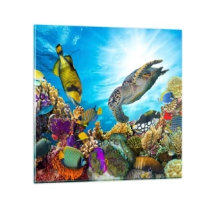 Impression sur verre - Image sur verre - Promenade de corail - 70x70 cm