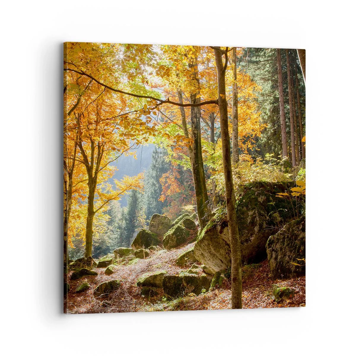 Impression sur toile - Image sur toile - Il est temps de se détendre - 70x70 cm