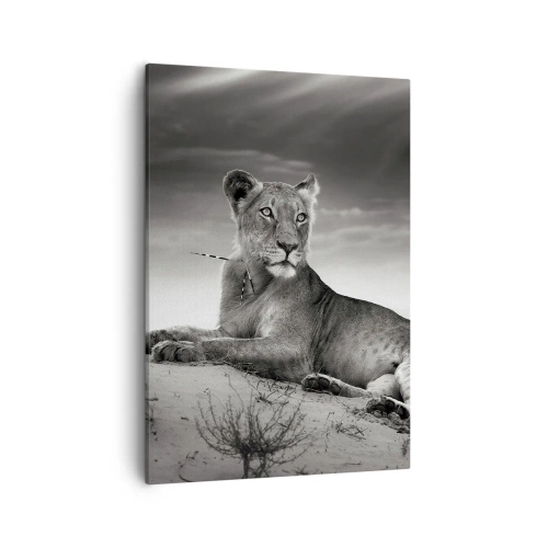 Impression sur toile - Image sur toile - Portrait noir et blanc d'une lionne dans la savane - 50x70cm - La reine du désert reste - Décoration murale moderne pour le salon et la chambre ARTTOR