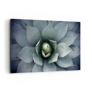 Impression sur toile - Image sur toile - Gros plan d'une rosette d'agave aux délicates nuances de vert - 120x80cm - Wabi et observe - Décoration murale moderne pour le salon et la chambre ARTTOR