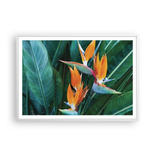 Affiche dans un cadre blanc - Poster - Est-ce une fleur, est-ce un oiseaux? - 100x70 cm