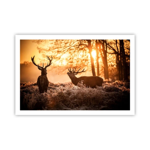 Affiche - Poster - Le rêve d'un chasseur - 91x61 cm