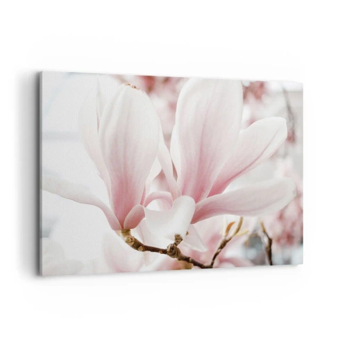 Impression sur toile - Image sur toile - Fleurs de magnolia délicates aux tons pastel - 120x80cm - Abondance de tendresse - Décoration murale moderne pour le salon et la chambre ARTTOR