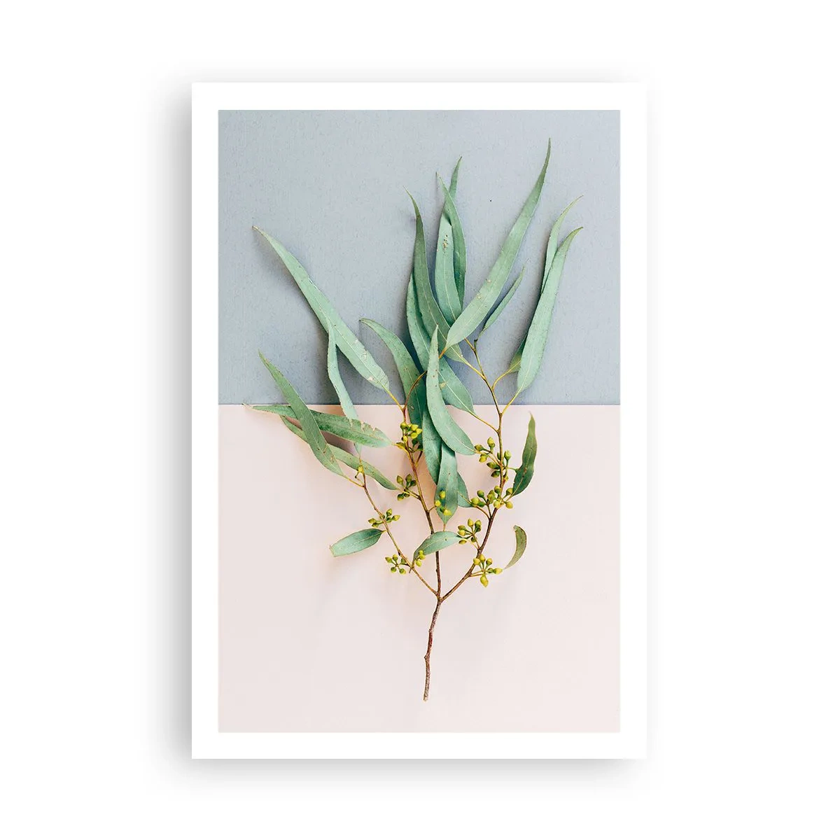 Affiche - Poster - Subtilité pastel - 61x91 cm