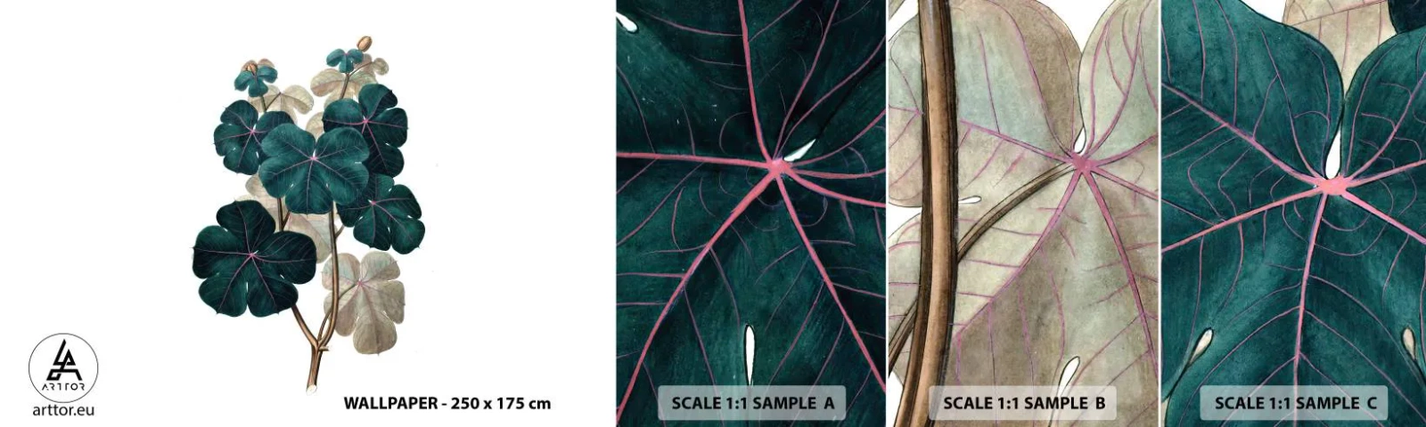 Échantillon De Papier Peint Standard Eco - De l'ancien herbier - Usine, Feuilles, Botanique - 100x30 cm