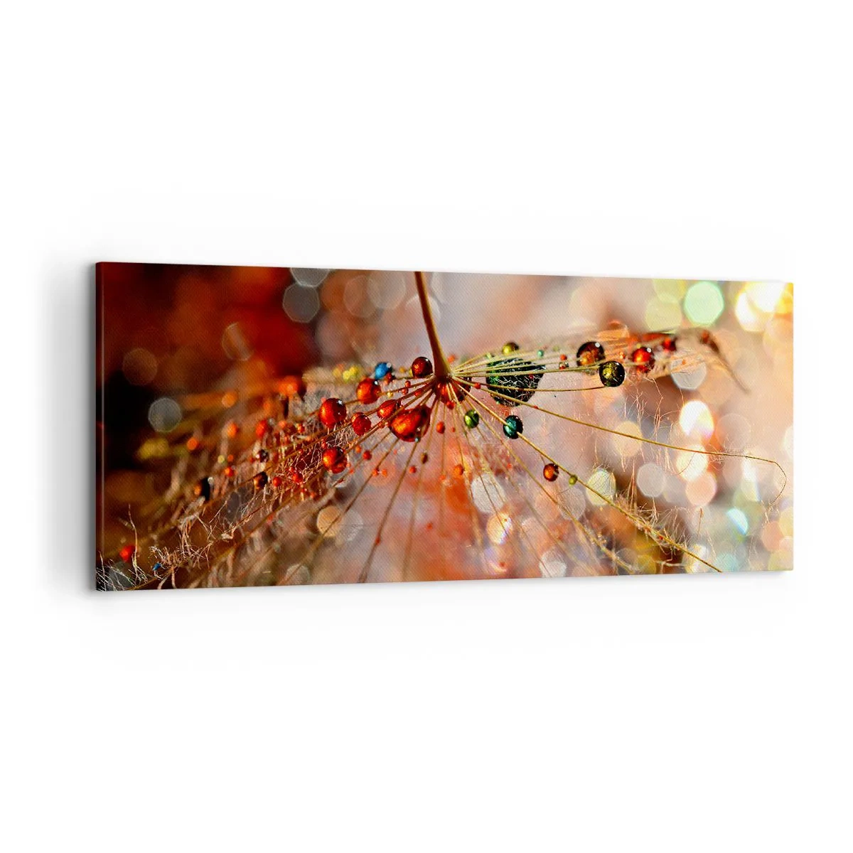 Impression sur toile - Image sur toile - Macrophotographie d'une goutte d'eau sur une plante délicate - 120x50cm - Enfilé sur un fil d'araignée - Décoration murale moderne pour le salon et la chambre ARTTOR