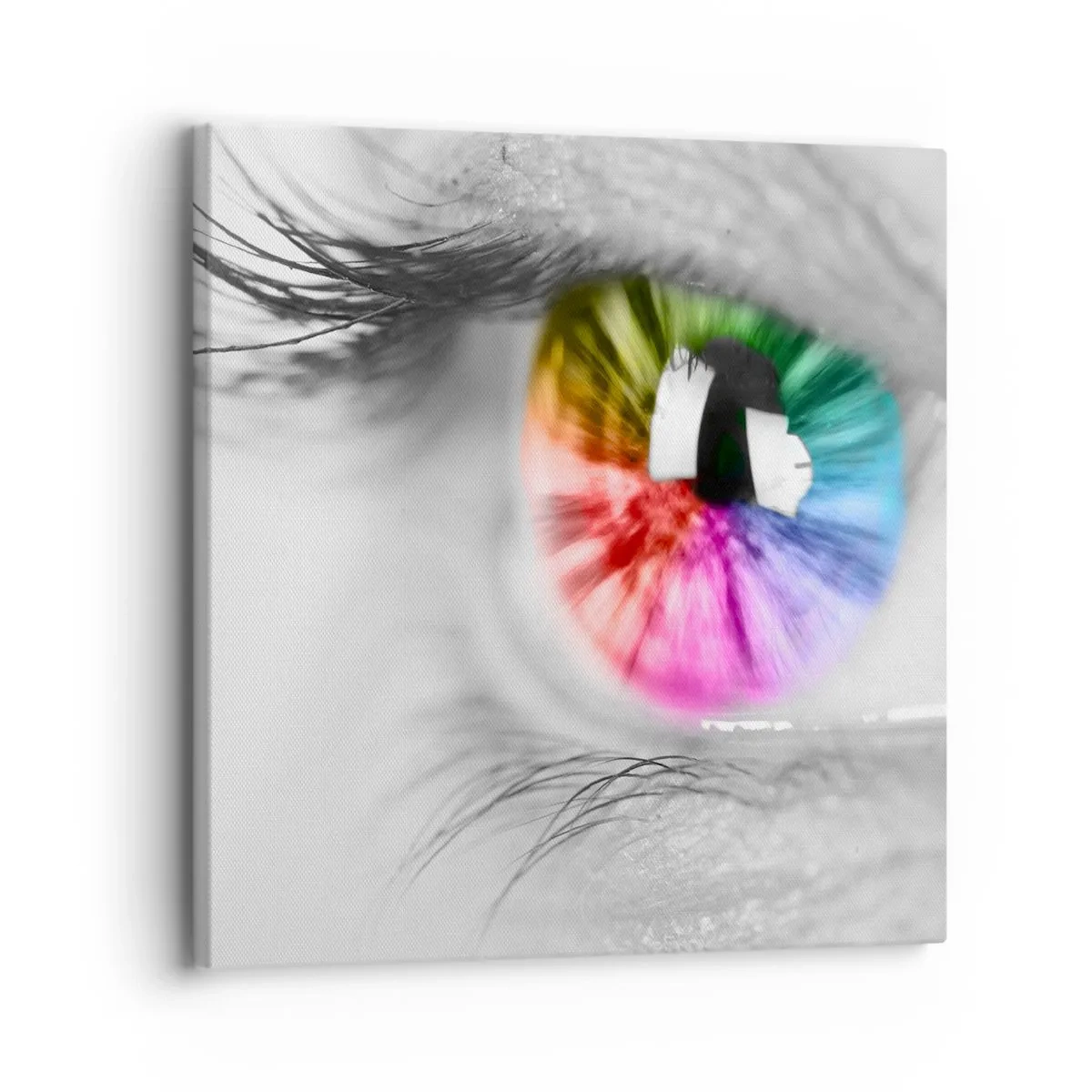 Impression sur toile - Image sur toile - Regarde le monde en couleur - 30x30 cm