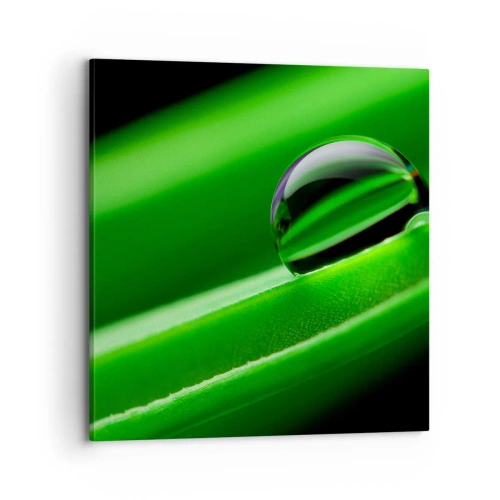 Impression sur toile - Image sur toile - La vie de près - 70x70 cm