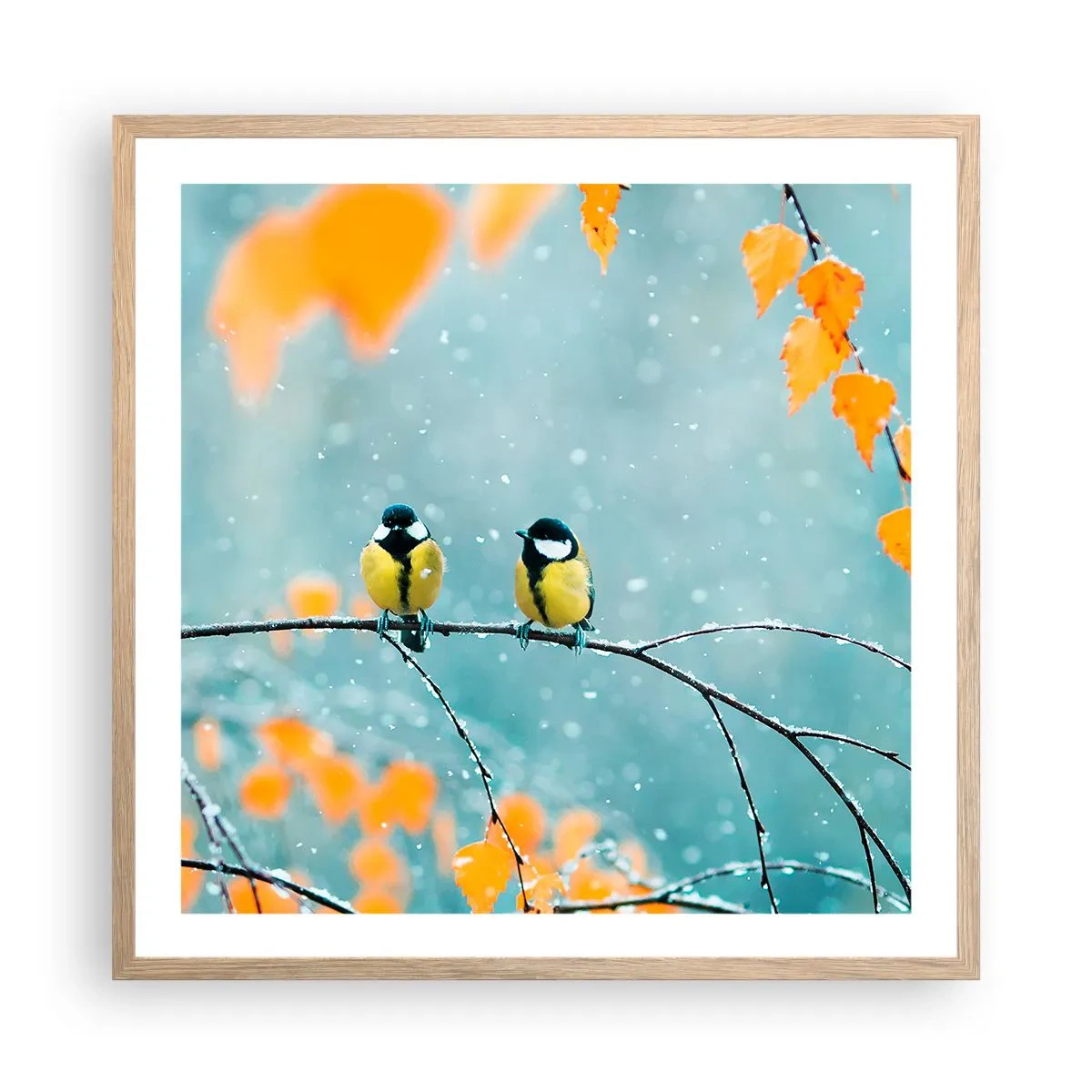 Affiche dans un chêne clair - Poster - Potins d'oiseaux - 60x60 cm
