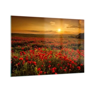 Impression sur verre - Image sur verre - Un champ de coquelicots illuminé par les rayons du soleil couchant - 100x70cm - Parmi les vagues des prairies bruissantes, parmi les fleurs du déluge - Décoration murale moderne pour le salon et la chambre ARTTOR