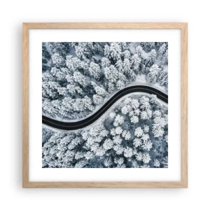 Affiche dans un chêne clair - Poster - À travers une forêt d'hiver - 40x40 cm