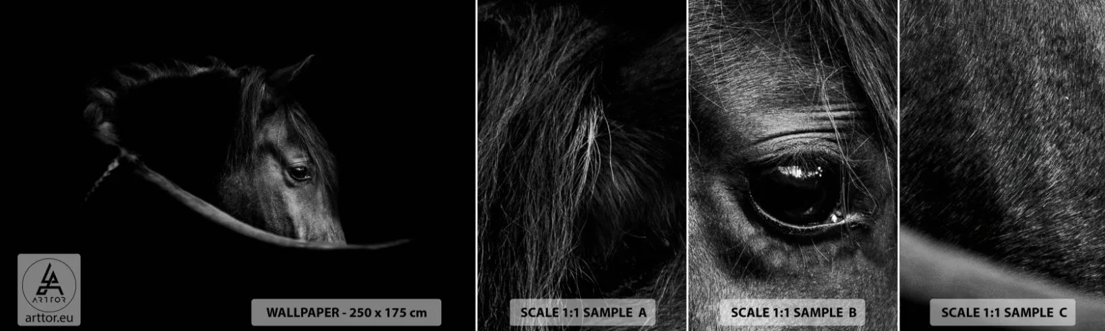 Échantillon de Papier Peint Autocollant Deluxe Sticker - Prince Noir - Cheval, Animal, Artistique - 100x30 cm
