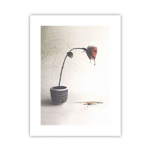 Affiche - Poster - Rosa dolorosa - 30x40 cm