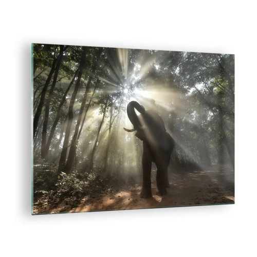 Impression sur verre - Image sur verre - Un éléphant dans une forêt éclairée par la lumière du soleil - 70x50cm - Sous la bonne étoile - Décoration murale moderne pour le salon et la chambre ARTTOR