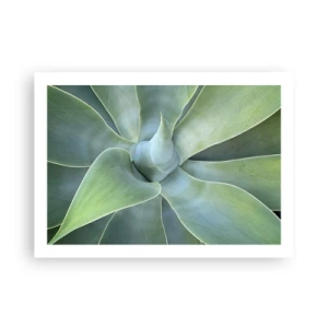 Affiche - Poster - La naissance de la verdure - 70x50 cm