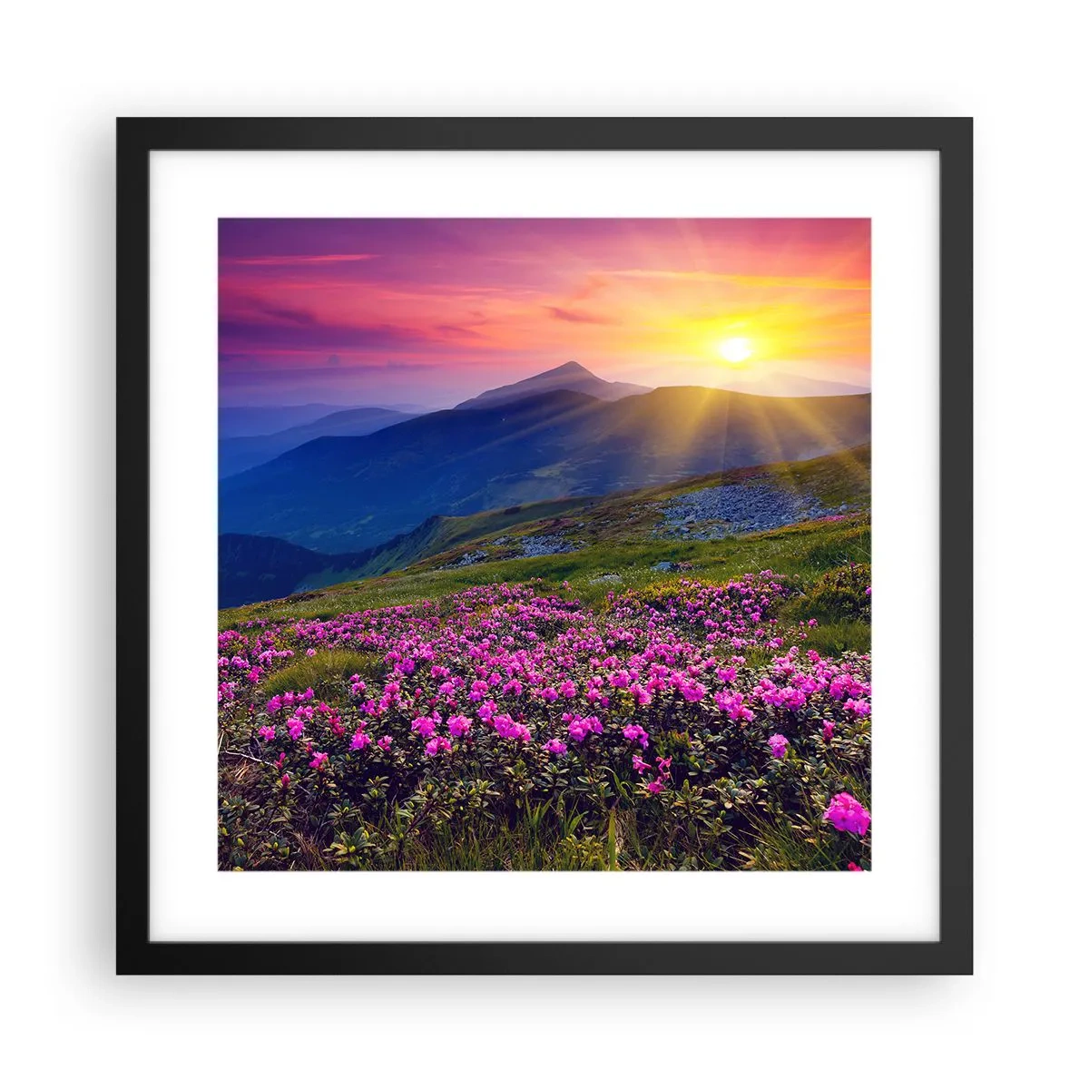 Affiche dans un cadre noir - Poster - … Et autour, ça sent le pin des montagnes et l'odeur de la prairie - 40x40 cm