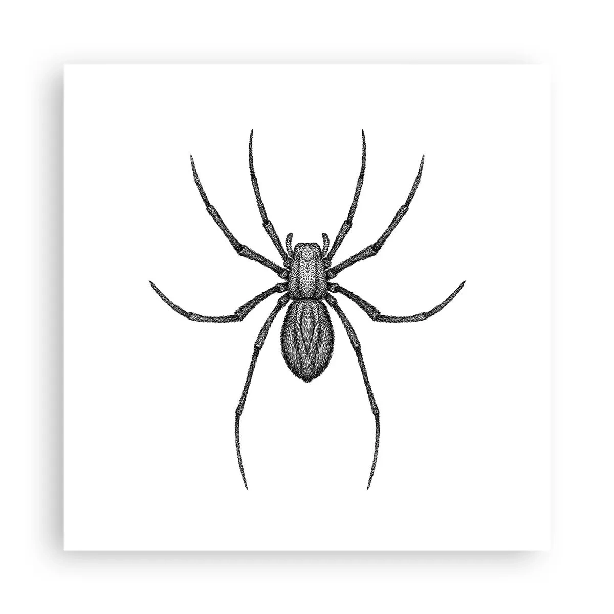 Affiche - Poster - Une précision troublante - 40x40 cm