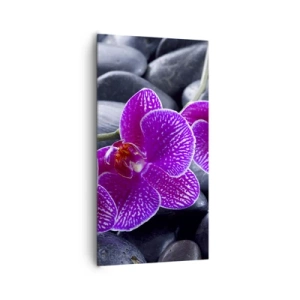 Impression sur toile - Image sur toile - Les pierres brillaient de joie - 65x120 cm