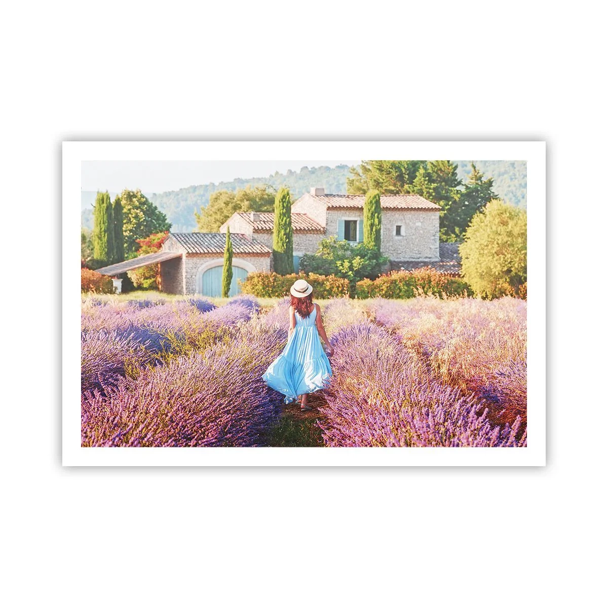 Affiche - Poster - Fille de la lavande - 91x61 cm