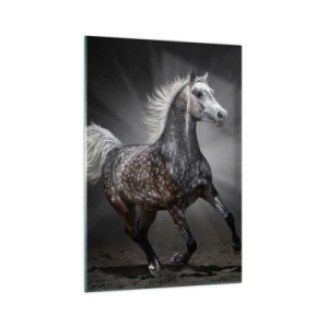 Impression sur verre - Image sur verre - Un cheval blanc galopant sur un fond sombre - 70x100cm - Le gris est beau - Décoration murale moderne pour le salon et la chambre ARTTOR
