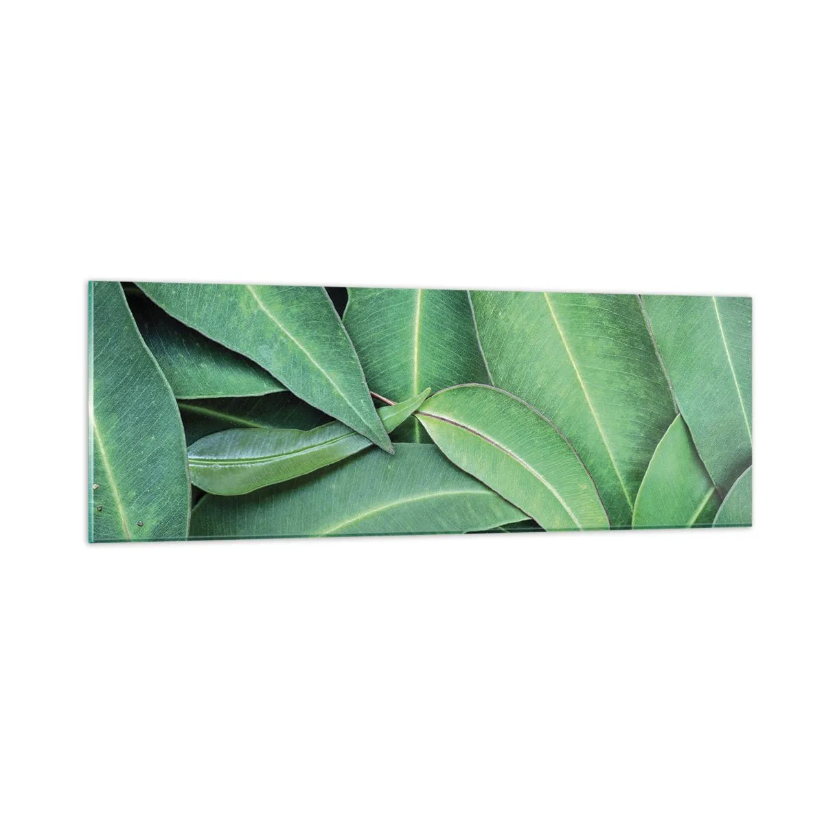 Impression sur verre - Image sur verre - Juteux et frais - 90x30 cm