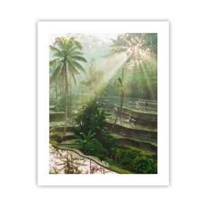 Affiche - Poster - Grandir au soleil - 40x50 cm