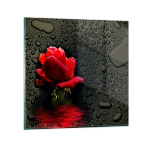Impression sur verre - Image sur verre - Rouge et noir - 30x30 cm