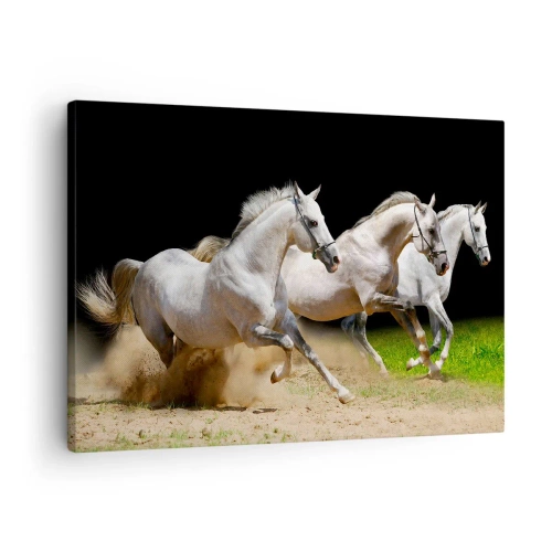 Impression sur toile - Image sur toile - Trois chevaux blancs galopant sur le sable et l'herbe - 70x50cm - Trois Grâces - Décoration murale moderne pour le salon et la chambre ARTTOR