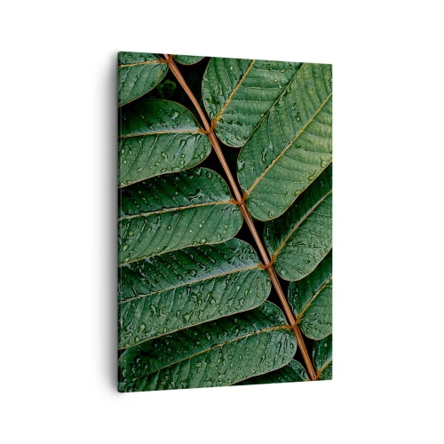 Impression sur toile - Image sur toile - Macro shot de feuilles vertes avec des gouttes de rosée - 50x70cm - Au rythme de la verdure - Décoration murale moderne pour le salon et la chambre ARTTOR