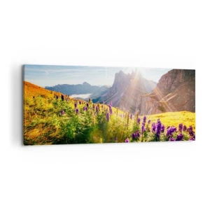 Impression sur toile - Image sur toile - Paysage de montagne avec des fleurs à la lumière du soleil levant - 120x50cm - La vie secrète des herbes - Décoration murale moderne pour le salon et la chambre ARTTOR
