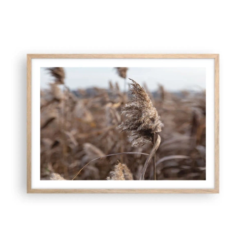 Affiche dans un chêne clair - Poster - Il est temps de s'envoler avec le vent - 70x50 cm