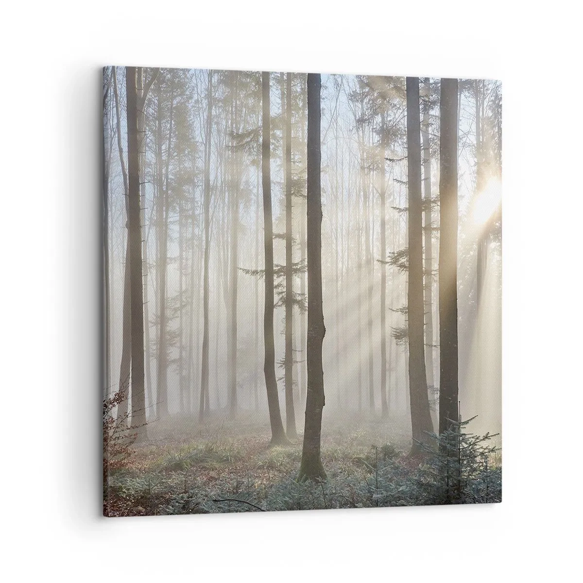 Impression sur toile - Image sur toile - Le brouillard s'est aussi réveillé - 50x50 cm