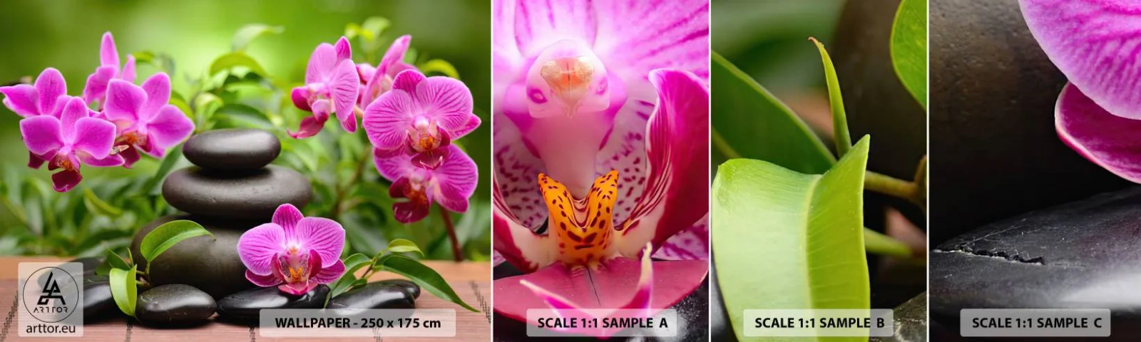 Échantillon De Papier Peint Standard Eco - Pyramide de la Paix - Fleurs, Orchidée, Orchidée - 100x30 cm