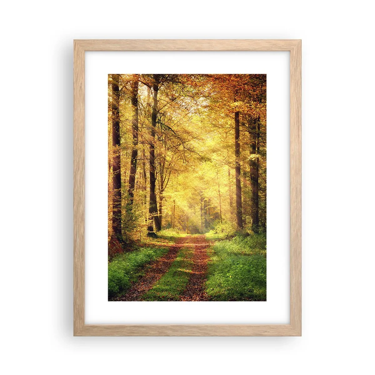 Affiche dans un chêne clair - Poster - Silence d'or en forêt - 30x40 cm
