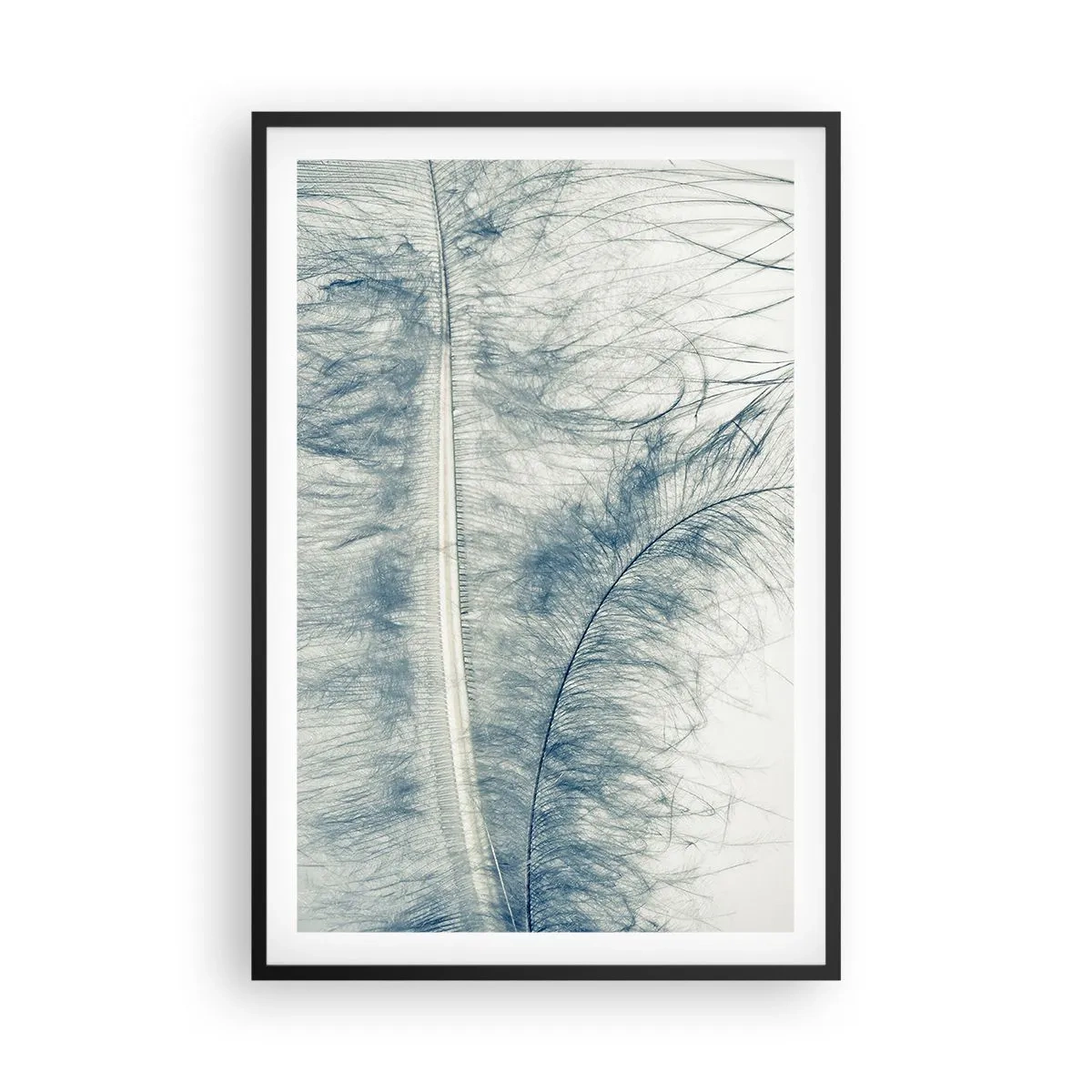 Affiche dans un cadre noir - Poster - Les sept natures - 61x91 cm