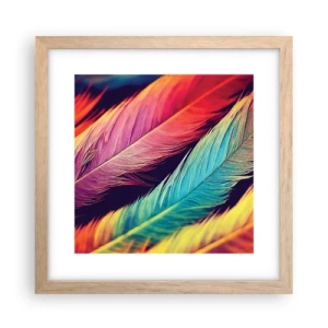 Affiche dans un chêne clair - Poster - Arc-en-ciel de plumes - 30x30 cm