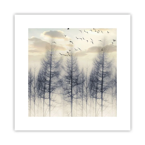 Affiche - Poster - L'âme de la forêt - 30x30 cm
