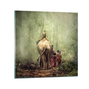 Impression sur verre - Image sur verre - Nouveau livre de la jungle - 70x70 cm