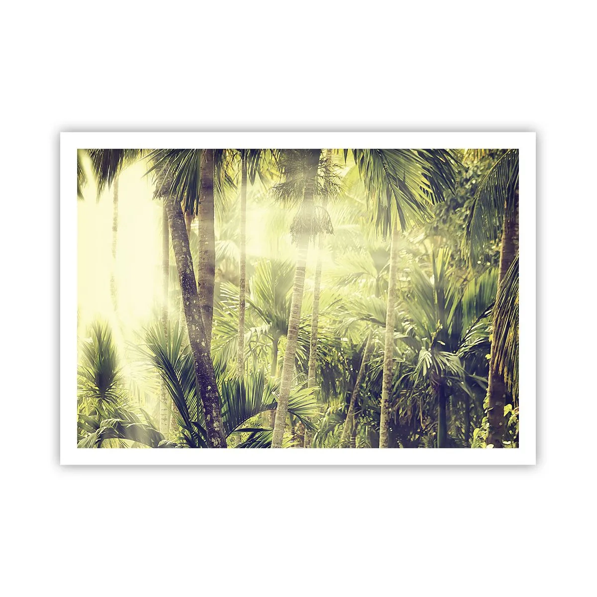 Affiche - Poster - Rayons de soleil dans une forêt tropicale de palmiers - 100x70cm - Nature enflammée - Décoration murale moderne pour le salon et la chambre ARTTOR